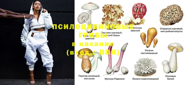амф Зеленокумск