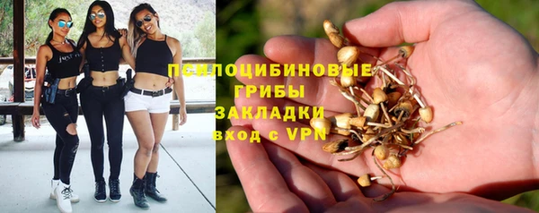 амф Зеленокумск