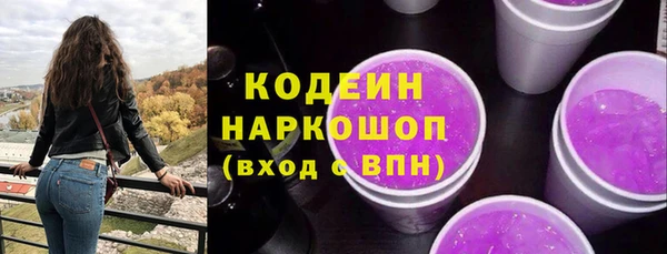 2c-b Инта