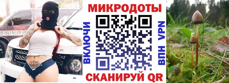 Псилоцибиновые грибы Cubensis  Купить где  Гудермес 